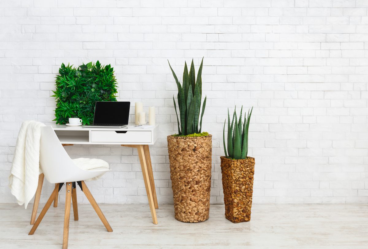 Modern home work place with laptop, and house plants at white brick wall background, copy space