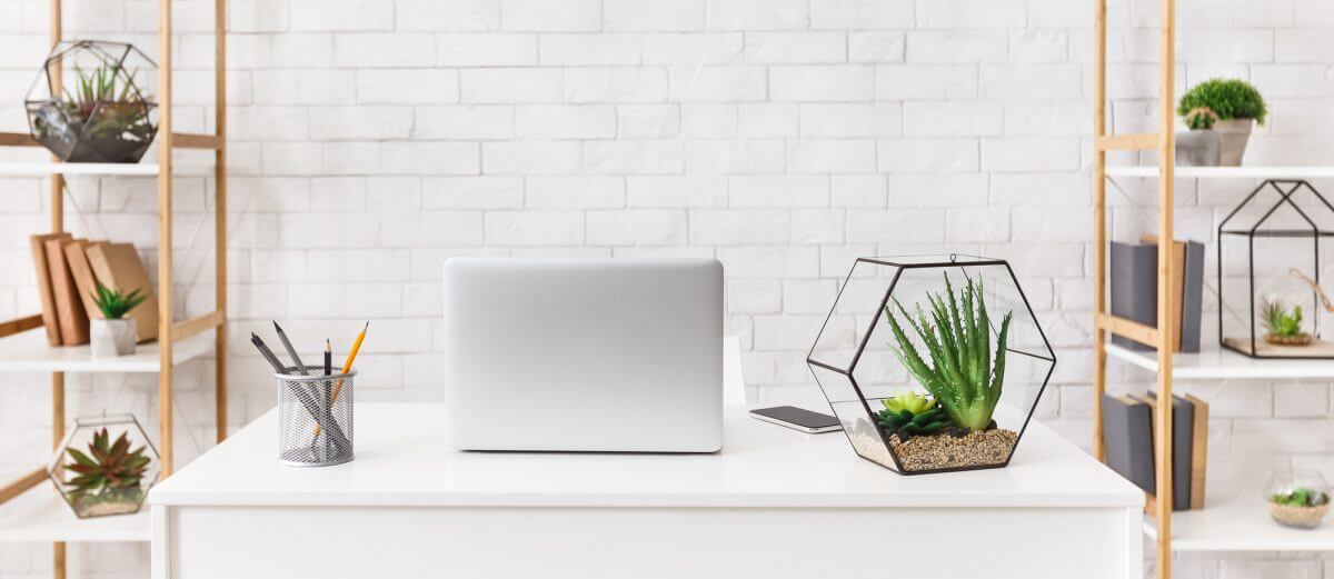 Cozy workplace. Laptop and florariums with succulent plants on table